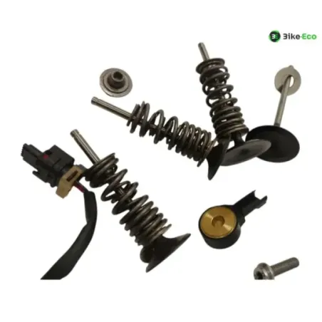 Soupapes BMW R 1250 GS 2018-2023