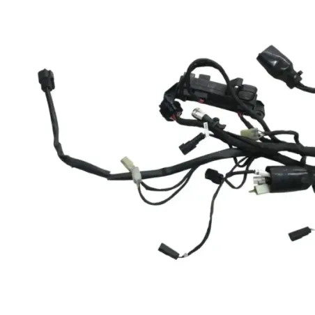 Faisceau electrique DUCATI DIAVEL 1200 2015-2016 FL