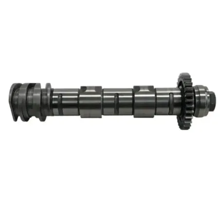 Arbres à cames BMW R 1250 GS 2018-2023