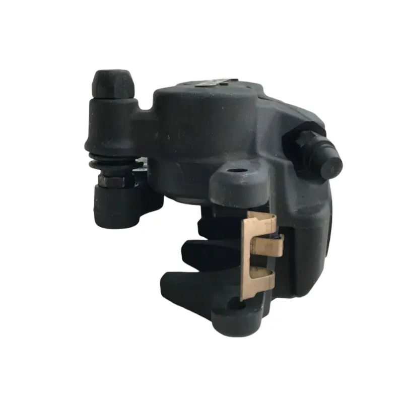 Etrier de frein arriere BMW R 1250 GS 2018-2023