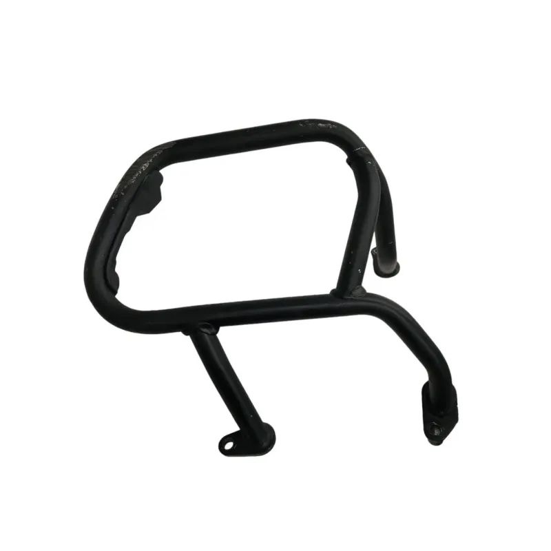 Pare carter moteur BMW R 1250 R 2019-2024