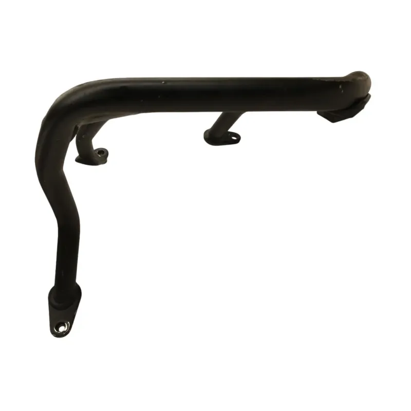 Pare carter moteur BMW R 1250 R 2019-2024