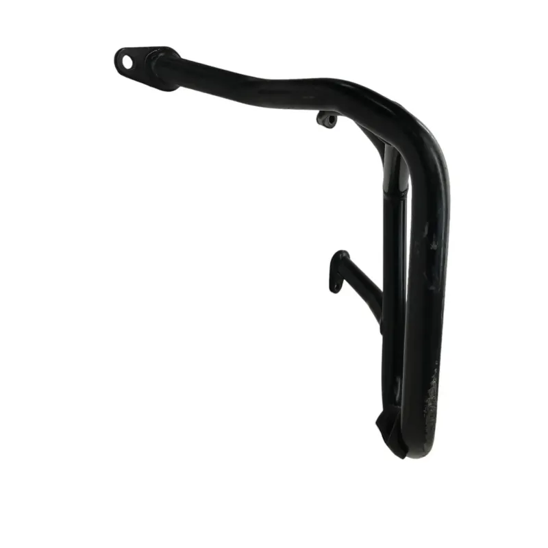 Pare carter moteur BMW R 1250 R 2019-2024
