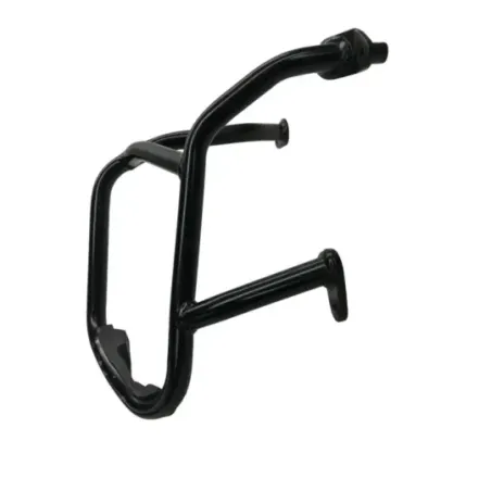Pare carter moteur BMW R 1250 R 2019-2024