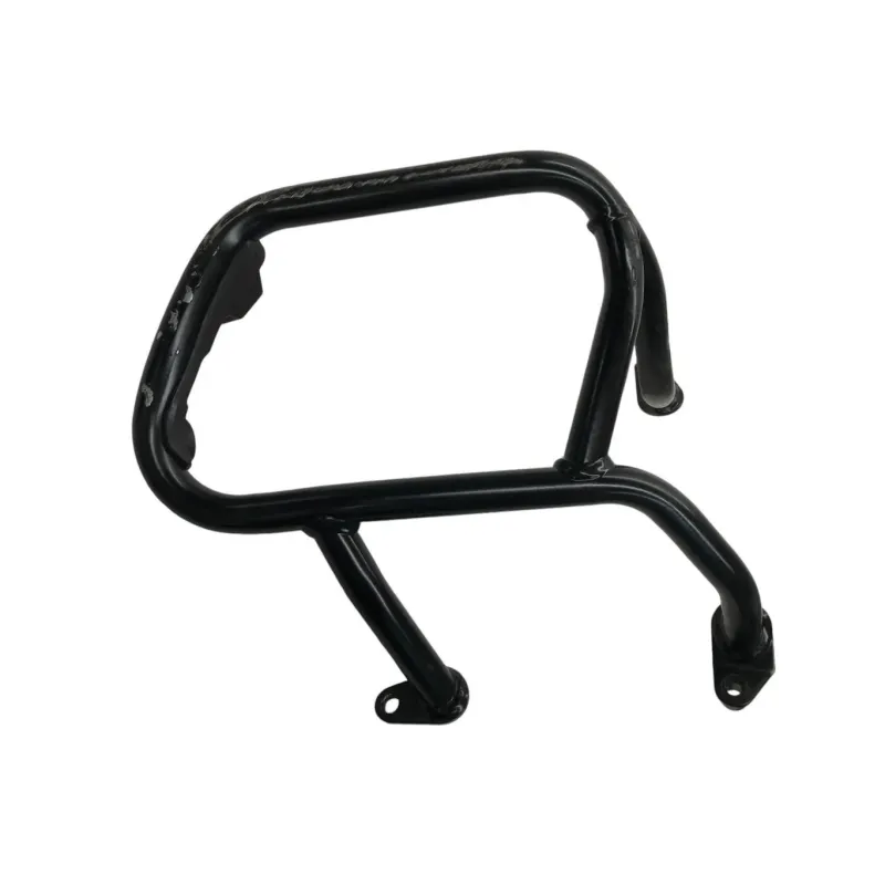 Pare carter moteur BMW R 1250 R 2019-2024