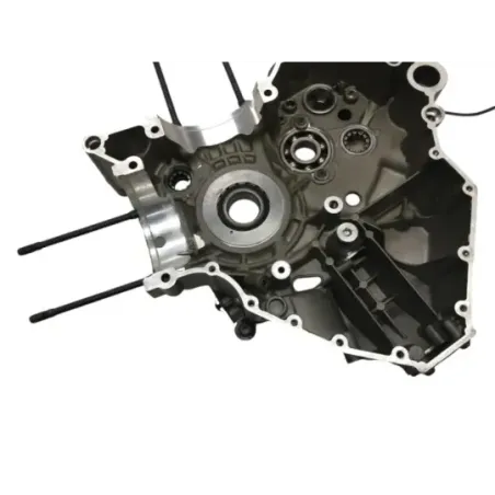 Carter moteur DUCATI DIAVEL 1200 2015-2016 FL