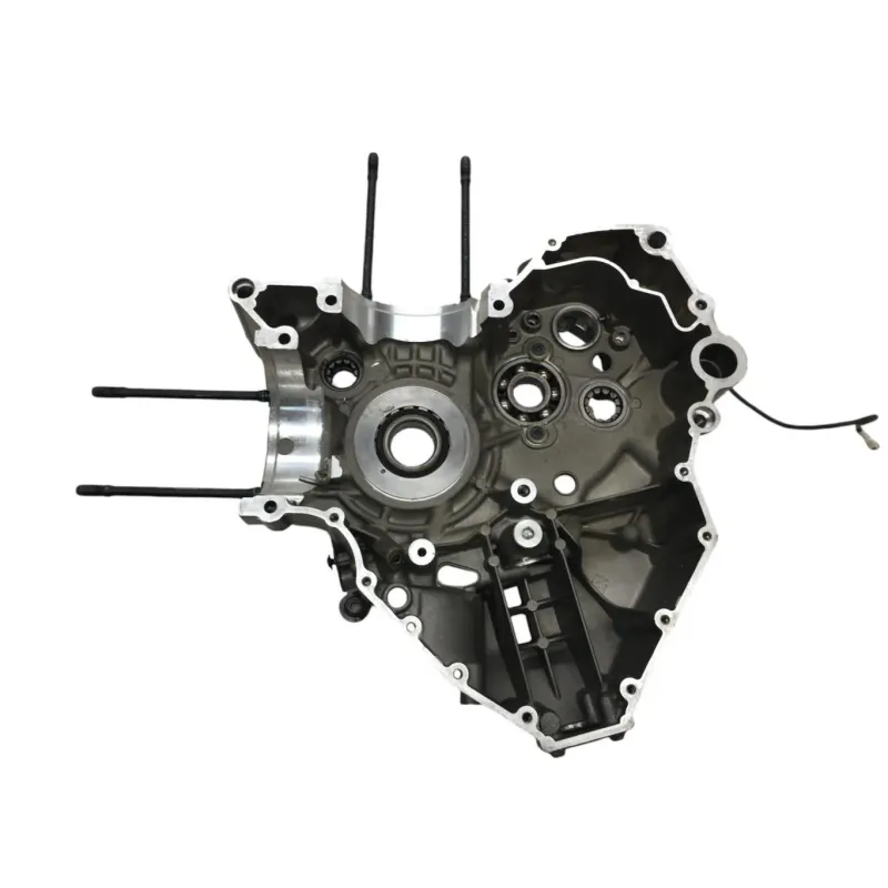 Carter moteur DUCATI DIAVEL 1200 2015-2016 FL