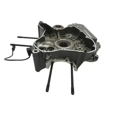 Carter moteur DUCATI DIAVEL 1200 2015-2016 FL