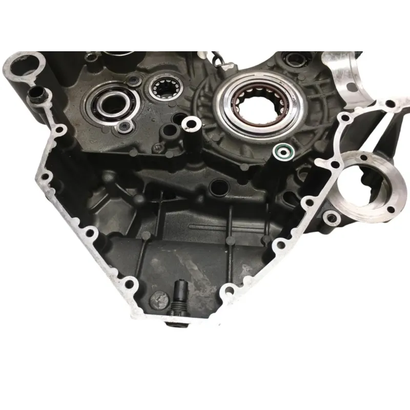 Carter moteur DUCATI DIAVEL 1200 2015-2016 FL