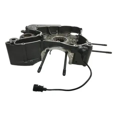 Carter moteur DUCATI DIAVEL 1200 2015-2016 FL