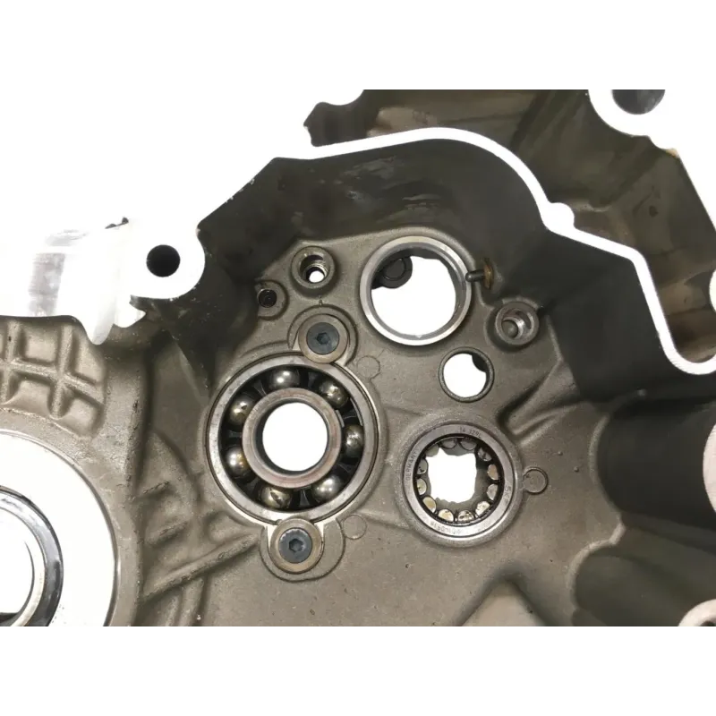 Carter moteur DUCATI DIAVEL 1200 2015-2016 FL