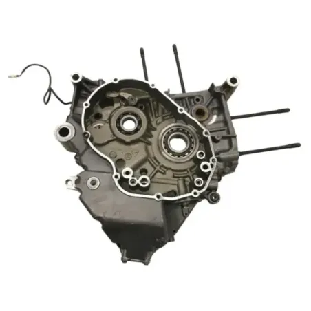 Carter moteur DUCATI DIAVEL 1200 2015-2016 FL