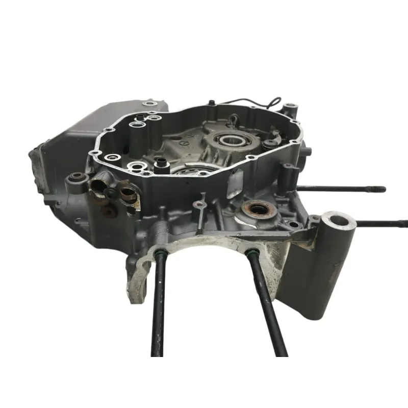 Carter moteur DUCATI DIAVEL 1200 2015-2016 FL