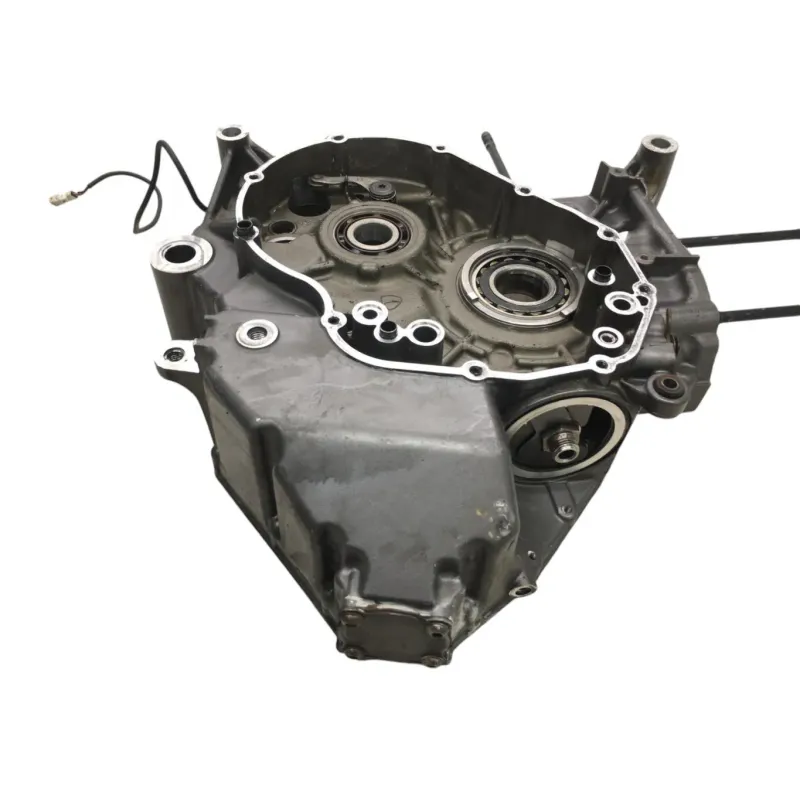 Carter moteur DUCATI DIAVEL 1200 2015-2016 FL