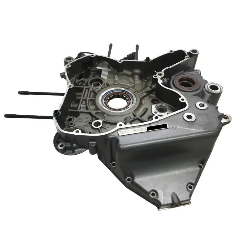 Carter moteur DUCATI DIAVEL 1200 2015-2016 FL
