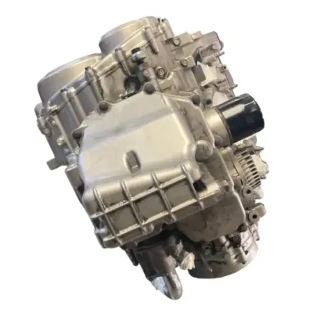 Moteur HONDA CBF 600 2008-2010 N