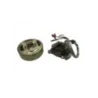 Stator alternateur YAMAHA CH 80 1990-1992 BELUGA Stator alternateur YAMAHA CH 80 1990-1992 BELUGA
