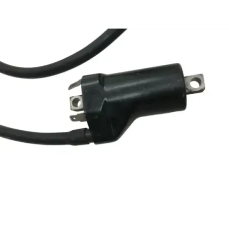 Bobine allumage SUZUKI SV 650 S 1999-2002