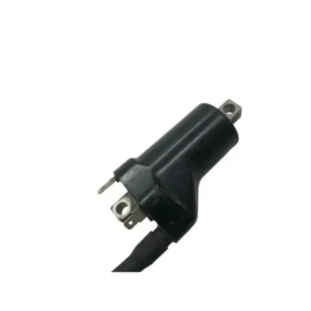 Bobine allumage SUZUKI SV 650 S 1999-2002