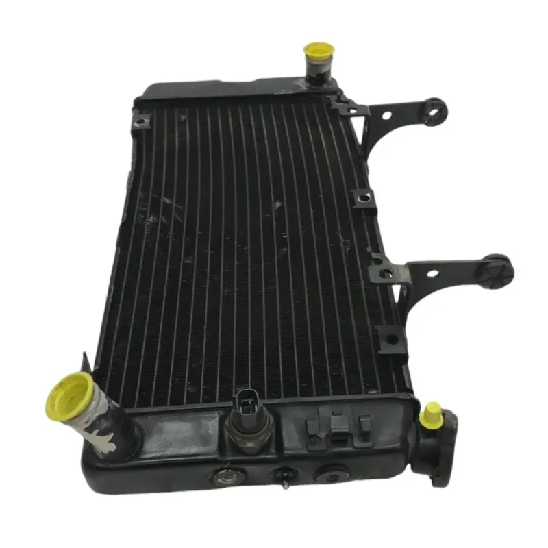 Radiateur eau SUZUKI DL 1000 2002-2006 VSTROM