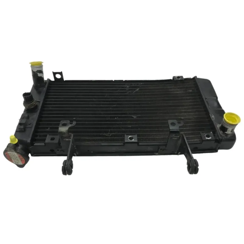 Radiateur eau SUZUKI DL 1000 2002-2006 VSTROM