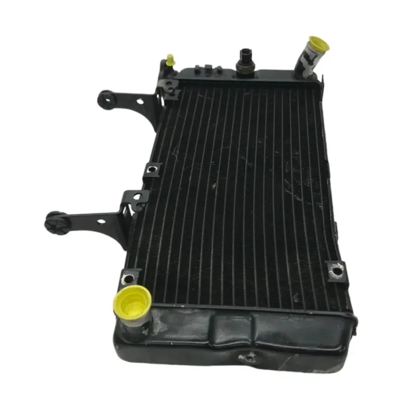 Radiateur eau SUZUKI DL 1000 2002-2006 VSTROM