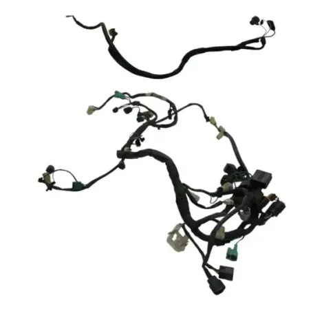 Faisceau electrique KAWASAKI KLV 1000 2004-2005