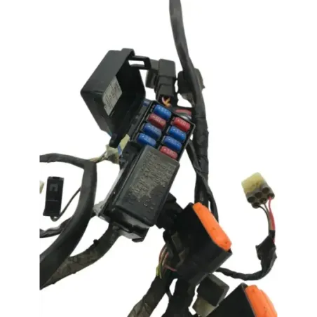 Faisceau electrique KAWASAKI KLV 1000 2004-2005
