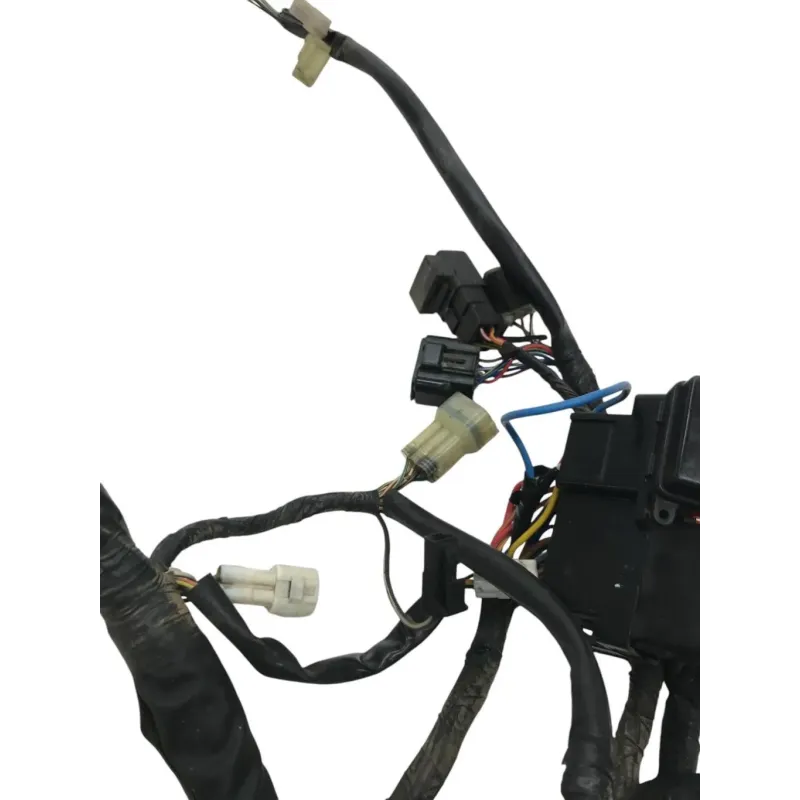 Faisceau electrique KAWASAKI KLV 1000 2004-2005