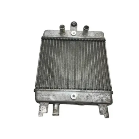 Radiateur eau SUZUKI UH 125 2014-2019 BURGMAN