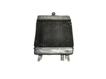 Radiateur eau SUZUKI UH 125 2014-2019 BURGMAN