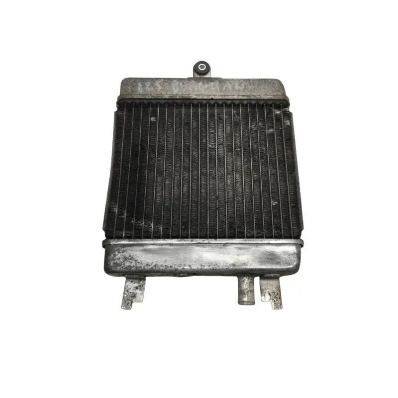 Radiateur eau SUZUKI UH 125 2014-2019 BURGMAN
