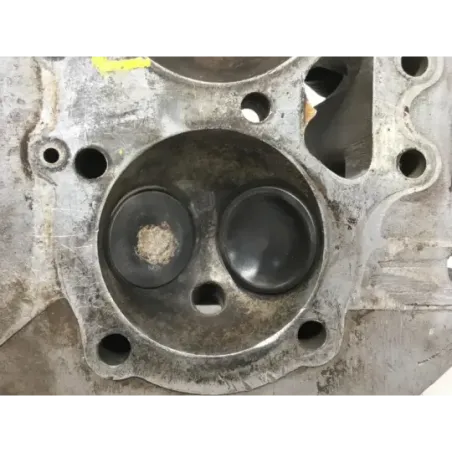 Culasse BSA A65 650 1962-1972 THUNDERBOLT
