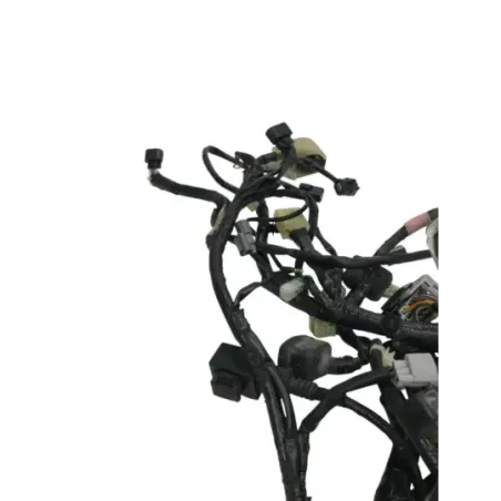 Faisceau electrique HONDA NSS 125 2015-2016 FORZA