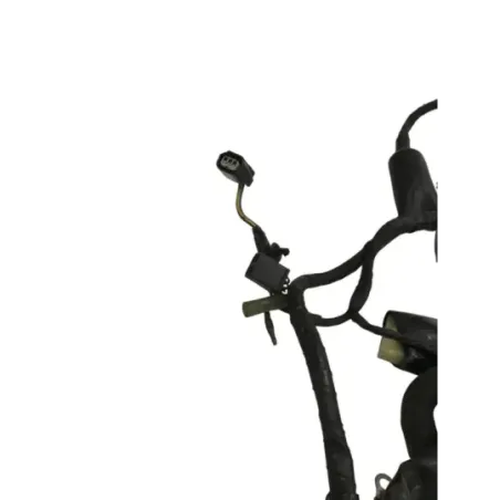 Faisceau electrique KAWASAKI KLE 650 2010-2014 VERSYS