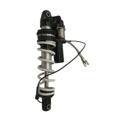 Amortisseur BMW R 1300 GS 2024-2026