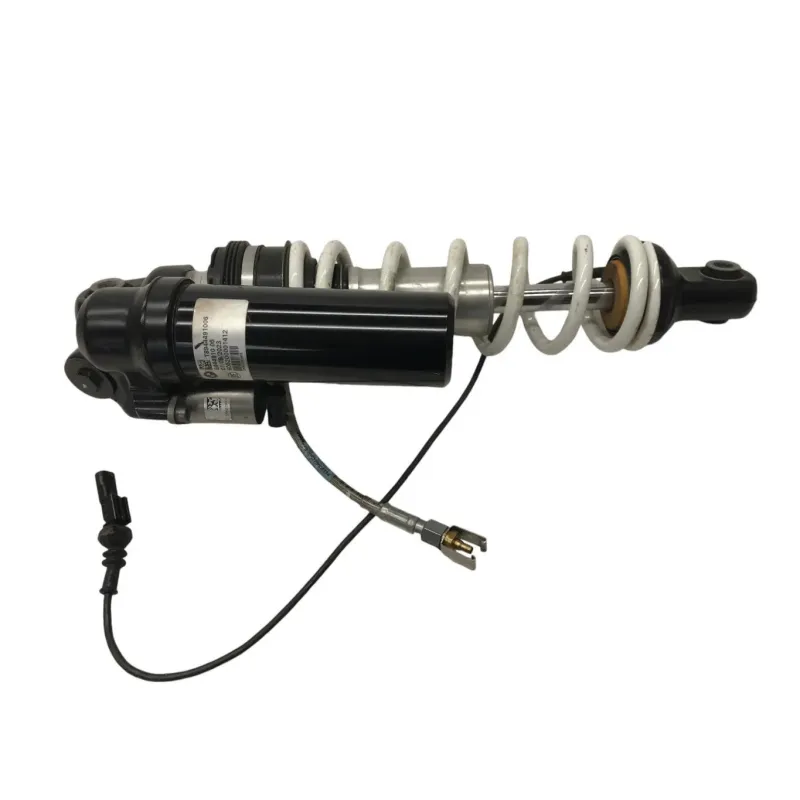 Amortisseur BMW R 1300 GS 2024-2026