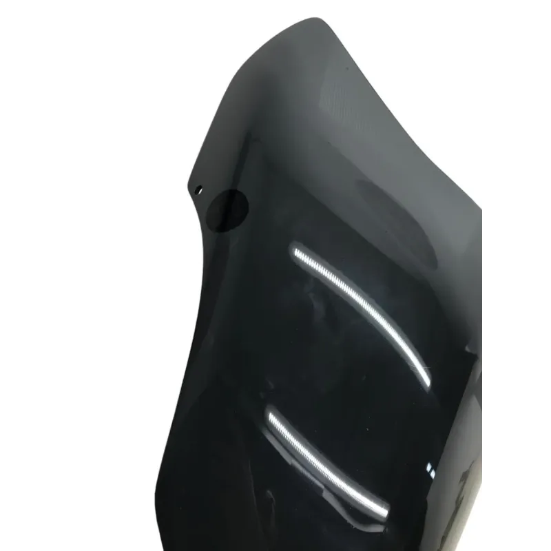 Bulle BMW C EVOLUTION 2013-2019