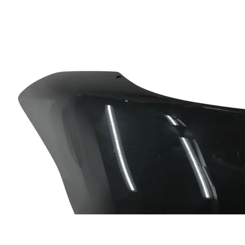 Bulle BMW C EVOLUTION 2013-2019