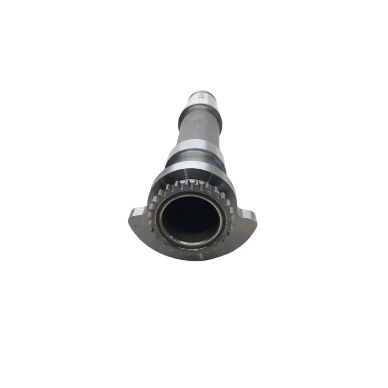 Arbre equilibrage BMW R 1250 RS 2018-2023 K54
