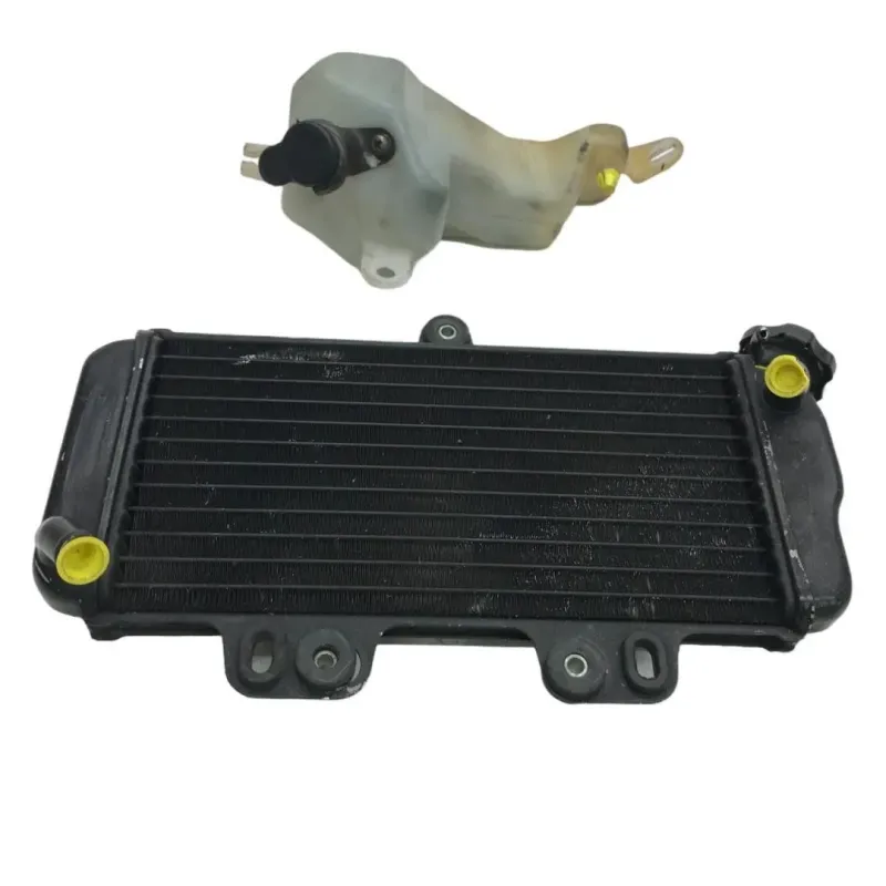 Radiateur eau YAMAHA TDR 125 1993-1996