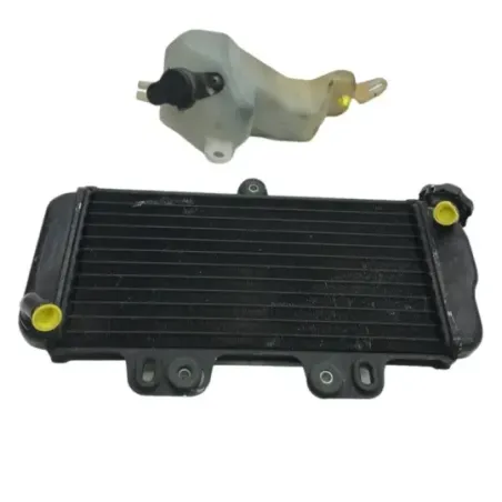 Radiateur eau YAMAHA TDR 125 1993-1996