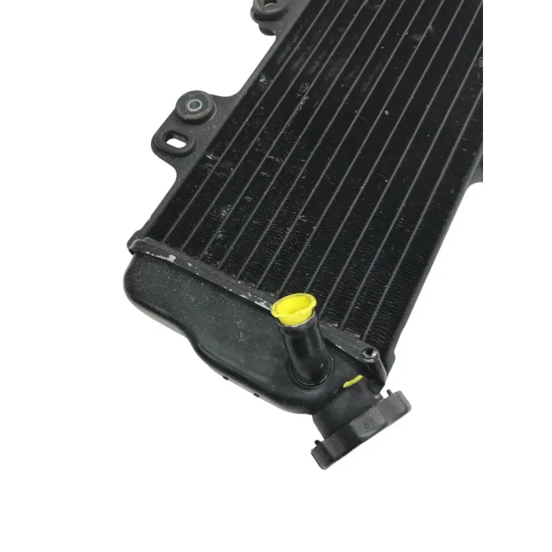 Radiateur eau YAMAHA TDR 125 1993-1996