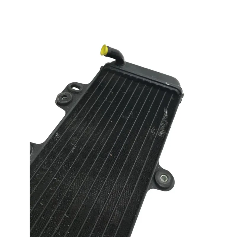 Radiateur eau YAMAHA TDR 125 1993-1996