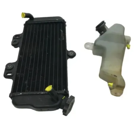 Radiateur eau YAMAHA TDR 125 1993-1996