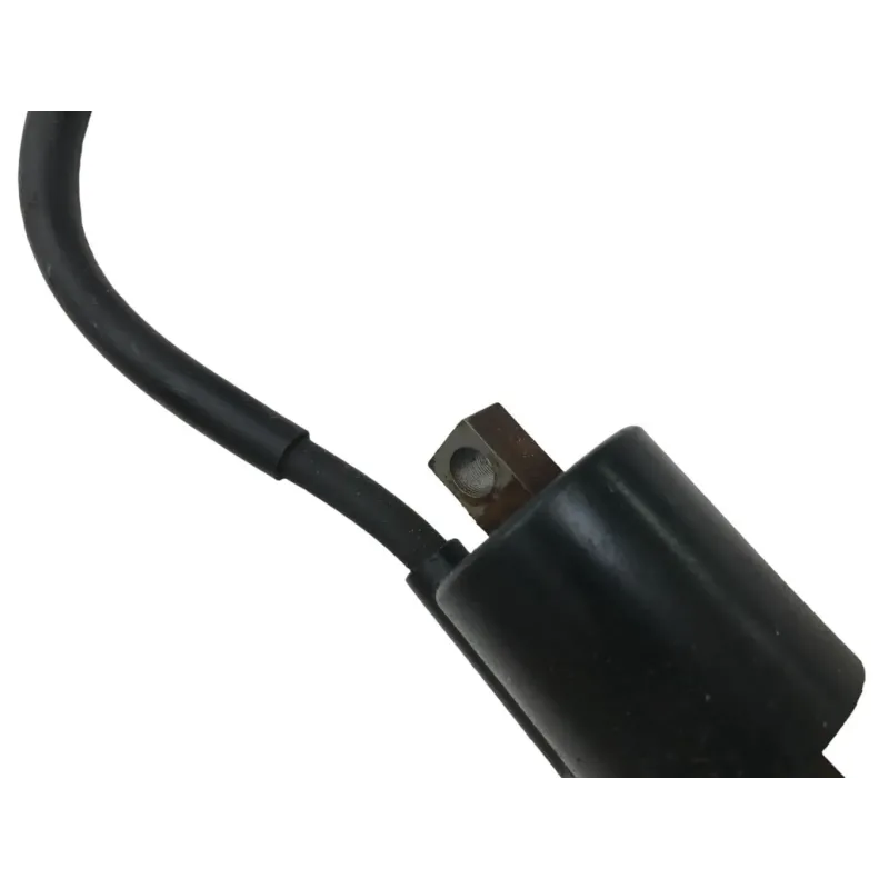 Bobine allumage YAMAHA TDR 125 1993-1996