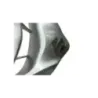 Cache carenage face avant SUZUKI AN 400 2003-2006 BURGMAN