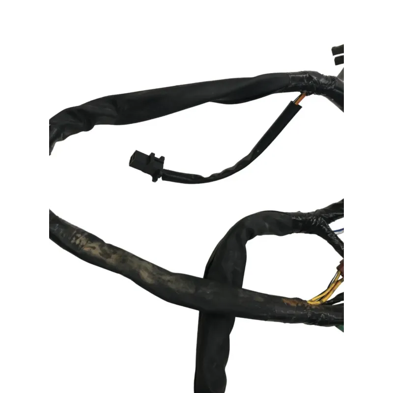 Faisceau electrique SUZUKI AN 400 2003-2006 BURGMAN