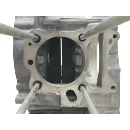Carter moteur SUZUKI FL 125 2007-2009 ADDRESS