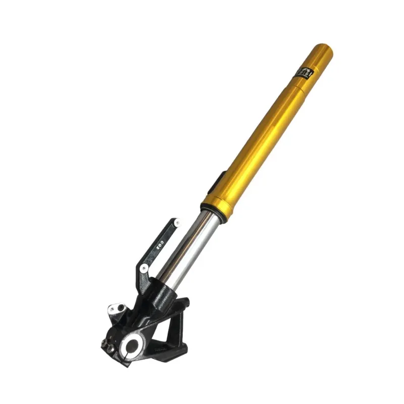 Tube de fourche gauche BMW G 310 R 2021-2024